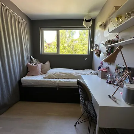 Moderne Enebolig, Sentralt