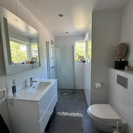 Moderne Enebolig, Sentralt