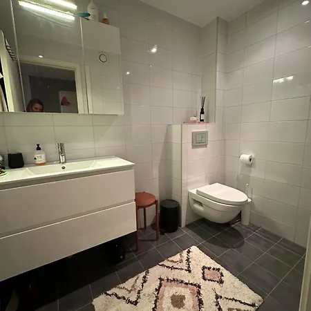 Moderne Enebolig, Sentralt * Oslo